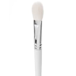 Sheer Powder Brush